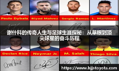 谢什科的传奇人生与足球生涯探秘：从草根到顶尖球星的奋斗历程