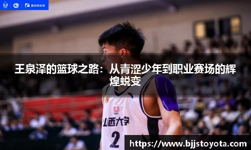 新利体育