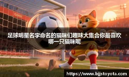足球明星名字命名的猫咪们趣味大集合你最喜欢哪一只猫咪呢