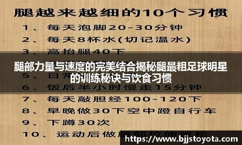 腿部力量与速度的完美结合揭秘腿最粗足球明星的训练秘诀与饮食习惯