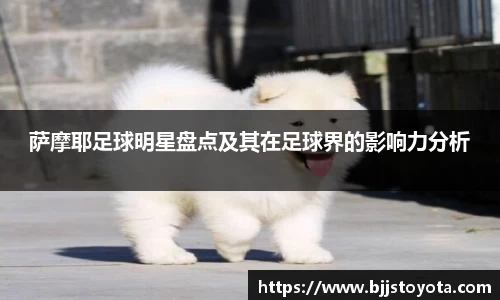 萨摩耶足球明星盘点及其在足球界的影响力分析